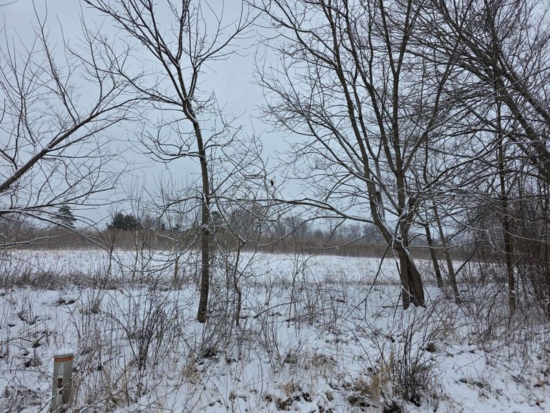 0 Riggle Road, Bellville, OH 44813 Photo 4