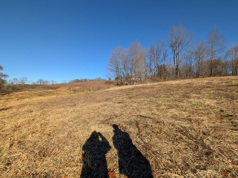 0 Riggle Road, Bellville, OH 44813 Photo 4