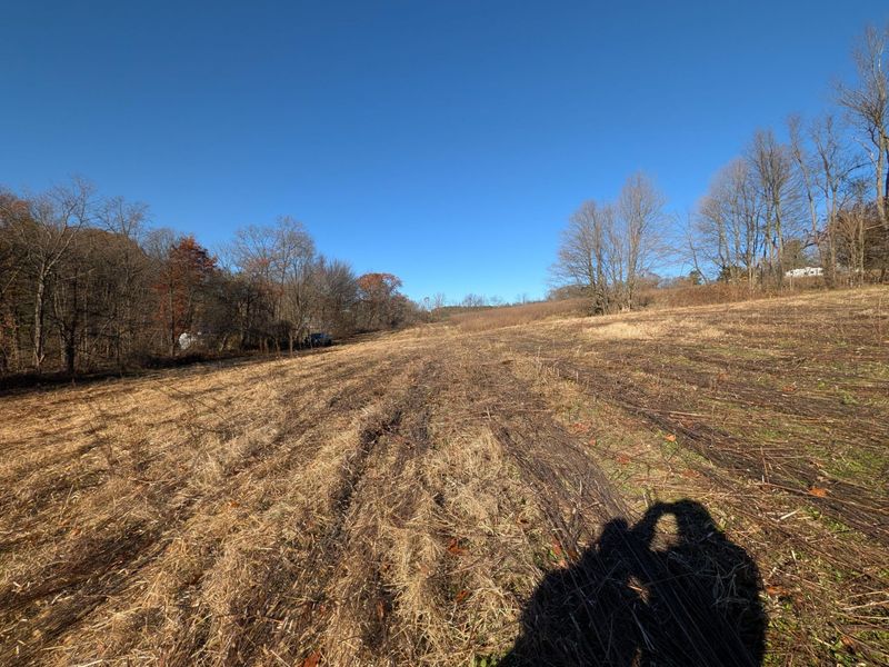 0 Riggle Road, Bellville, OH 44813 Photo 5