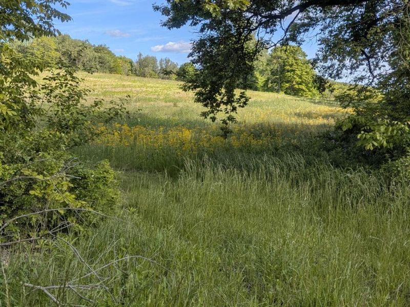 0 Riggle Road, Bellville, OH 44813 Photo 6