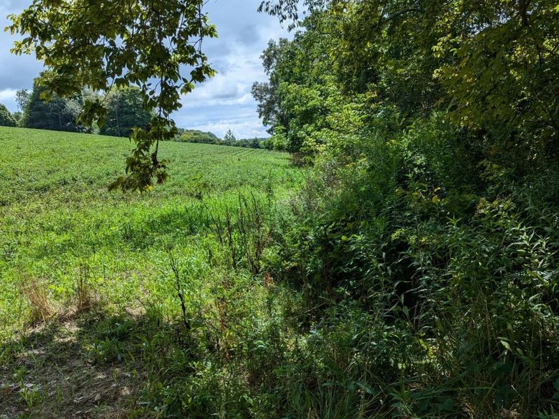 0 Riggle Road, Bellville, OH 44813 Photo 7