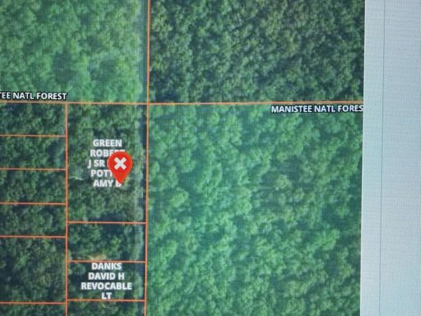 10717 N Java Road, Irons, MI 49644