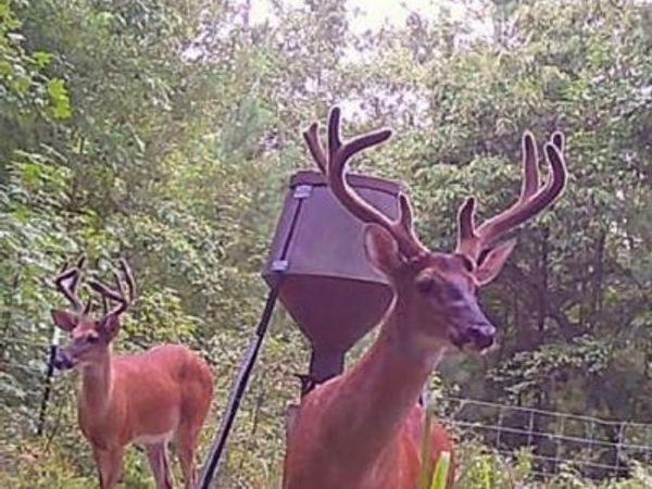 1530 Old Middleton Road, Elberton, GA 30635