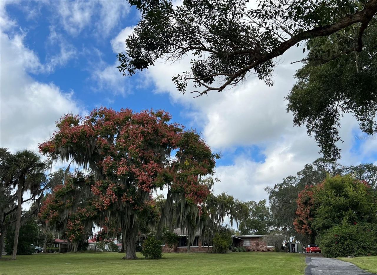 9279 Silver Lake Drive, Leesburg, FL 34788 Photo