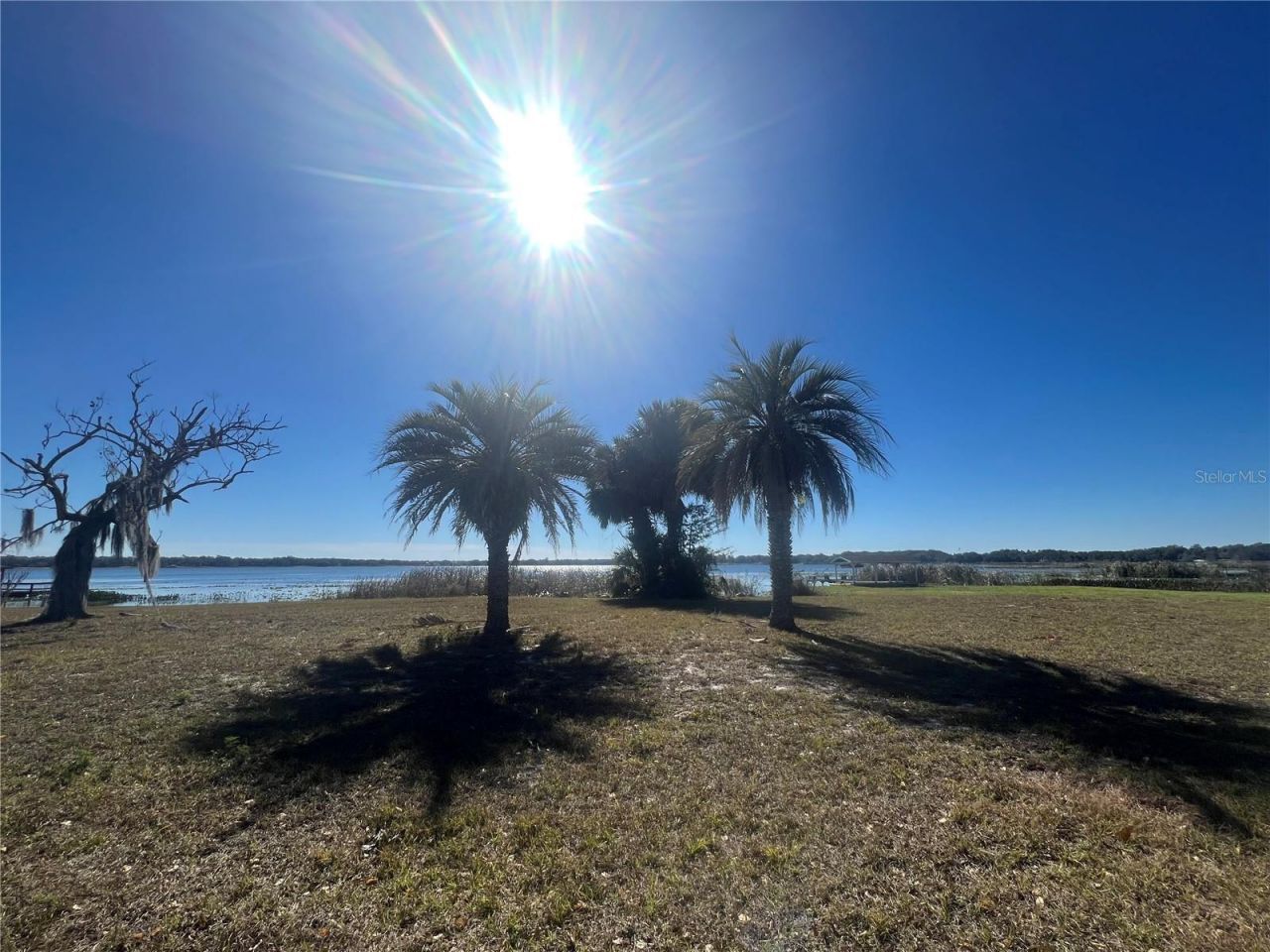 9279 Silver Lake Drive, Leesburg, FL 34788 Photo