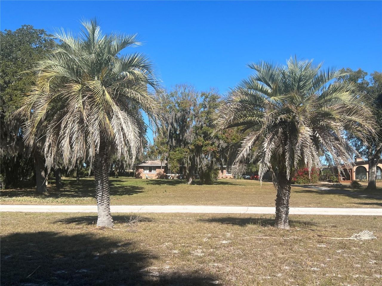 9279 Silver Lake Drive, Leesburg, FL 34788 Photo