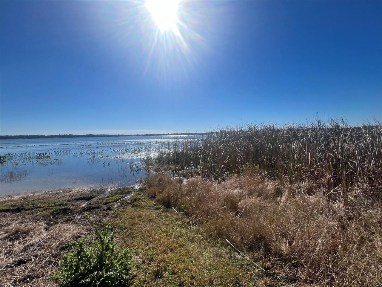 9279 Silver Lake Drive, Leesburg, FL 34788 Photo