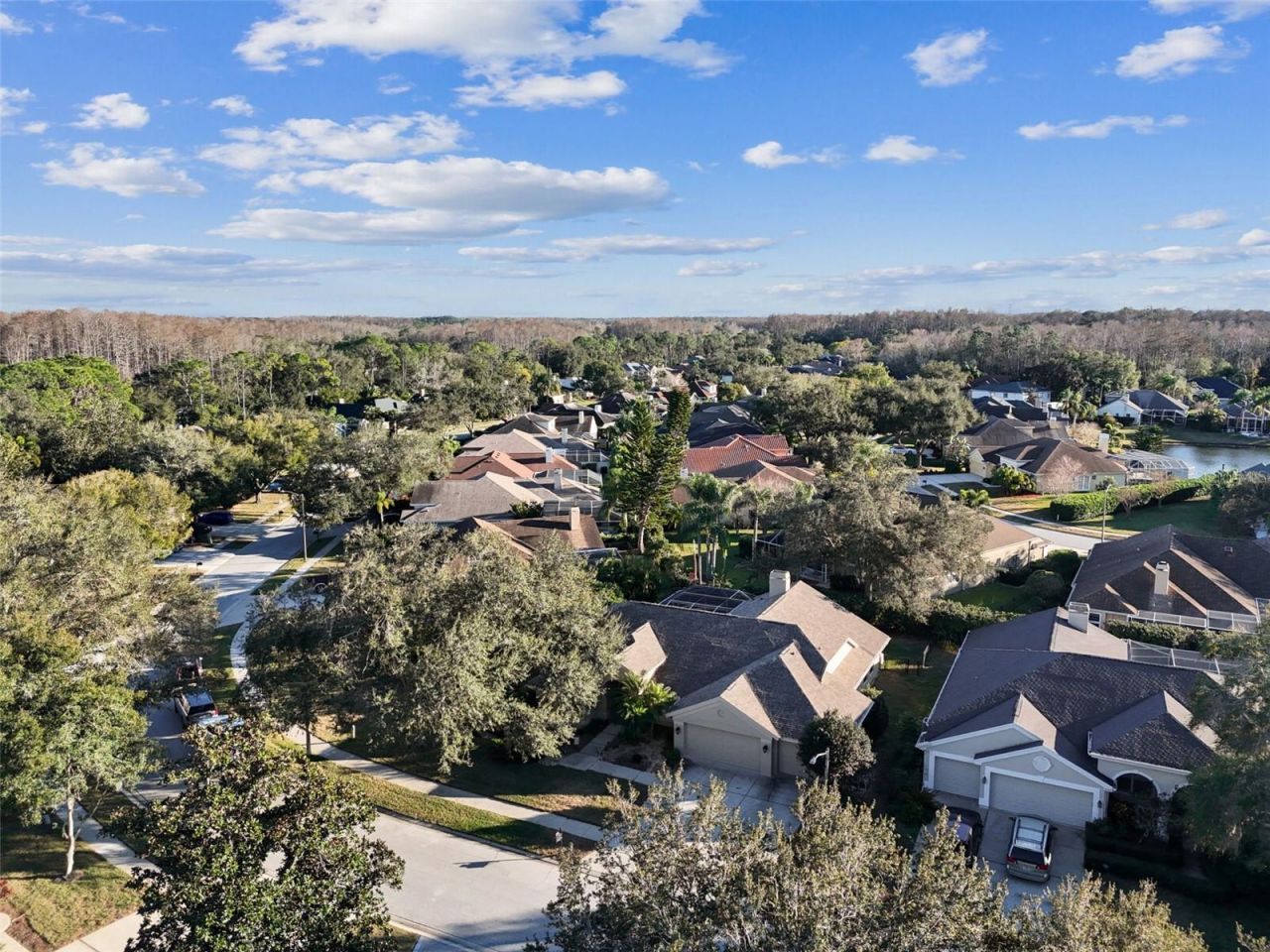 4320 Auston Way, Palm Harbor, FL 34685 Photo