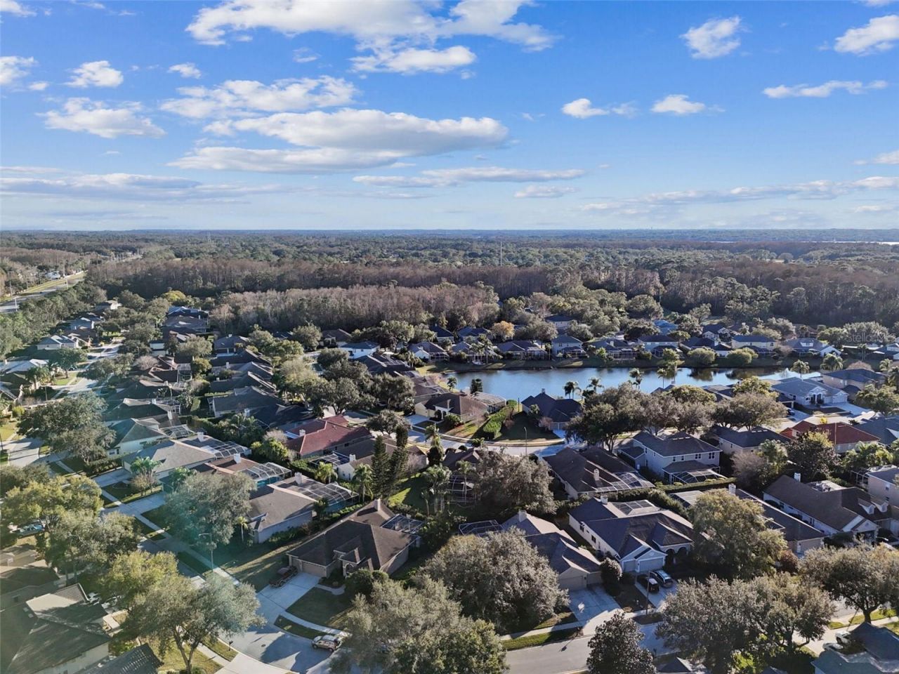 4320 Auston Way, Palm Harbor, FL 34685 Photo