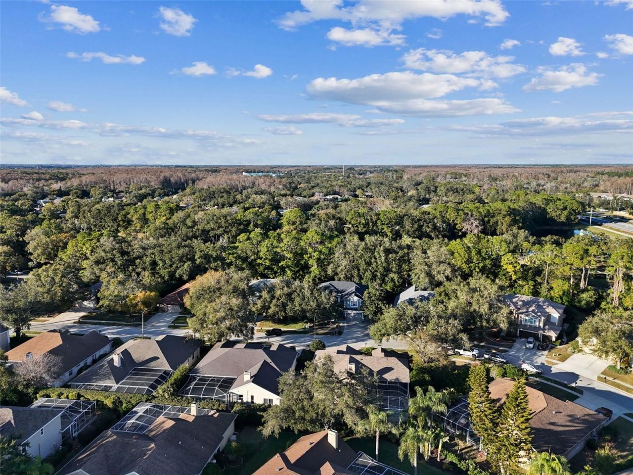 4320 Auston Way, Palm Harbor, FL 34685 Photo