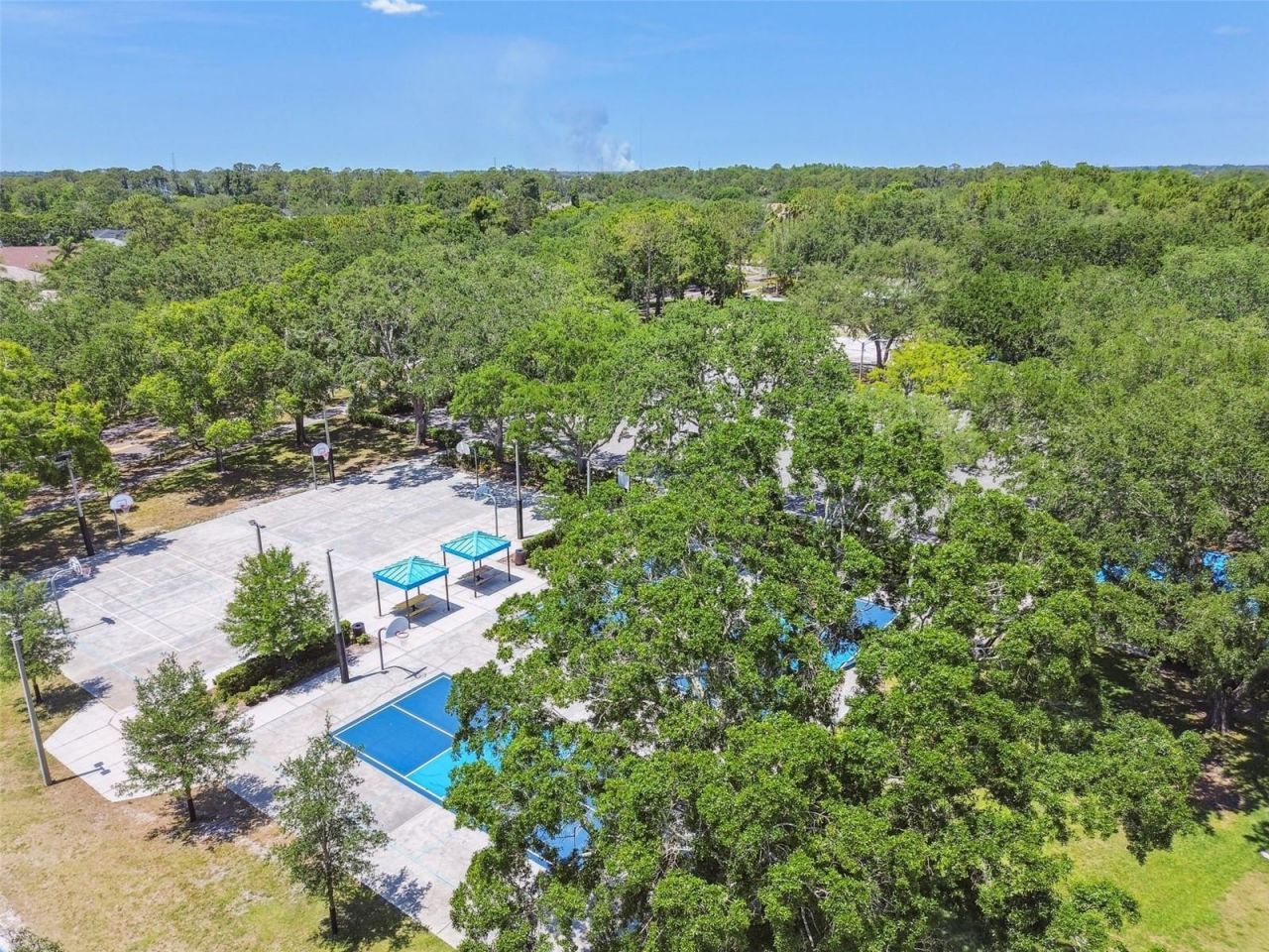 4320 Auston Way, Palm Harbor, FL 34685 Photo