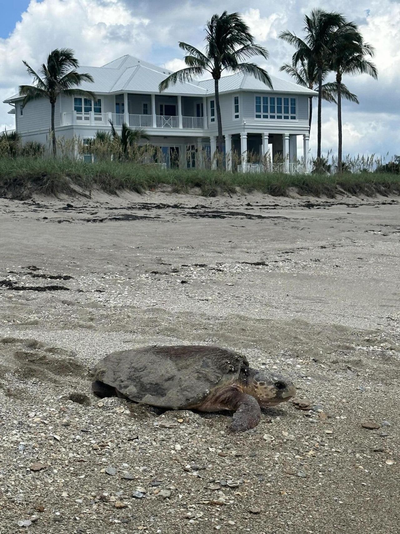 8316 S Ocean Drive, Jensen Beach, FL 34957 Photo