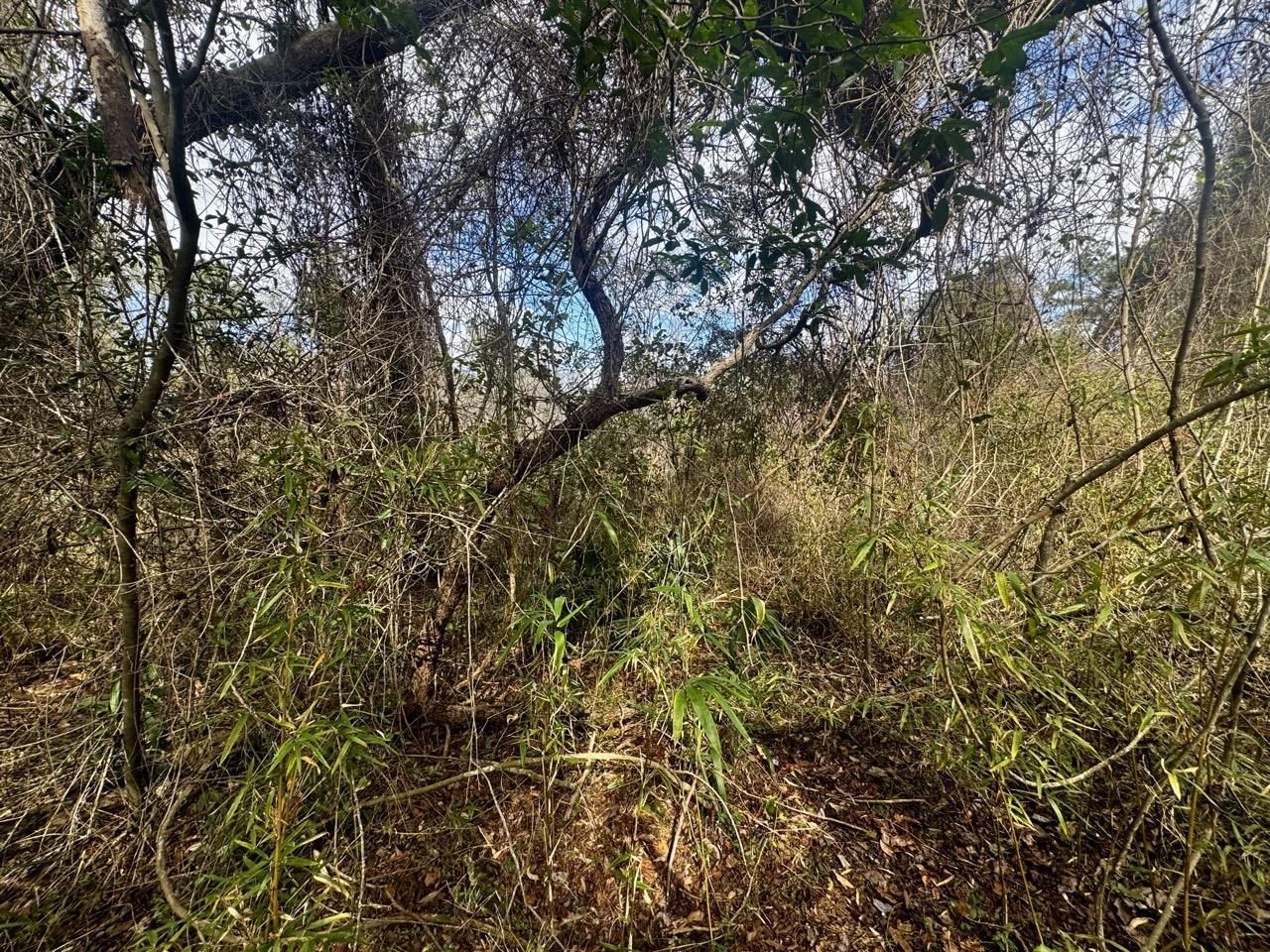 000 W Us 90, Madison, FL 32331 Photo