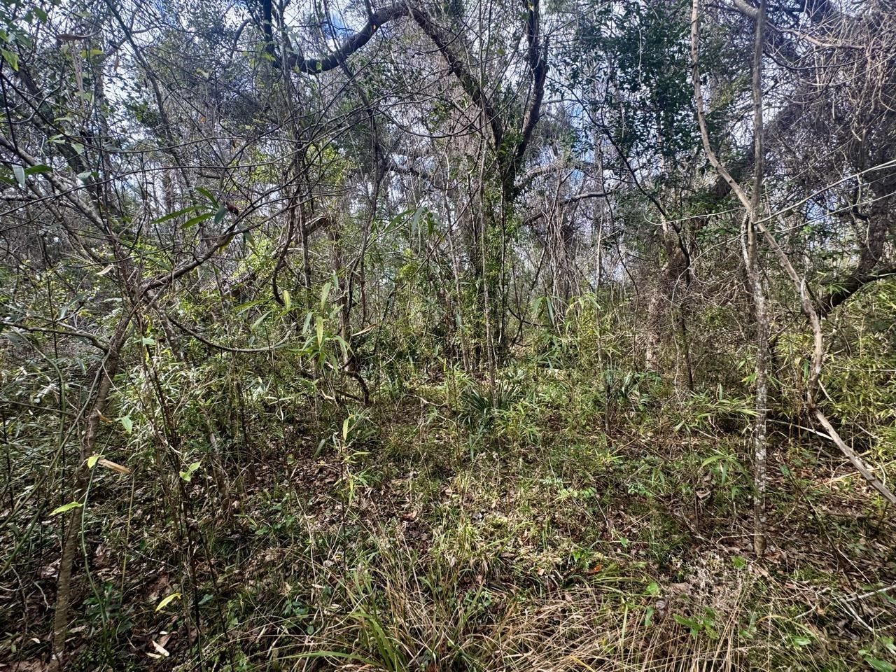 000 W Us 90, Madison, FL 32331 Photo