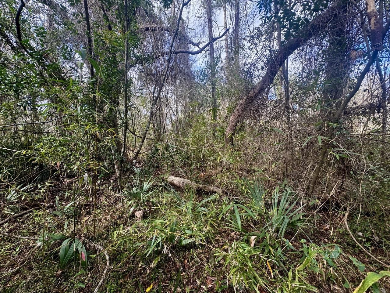 000 W Us 90, Madison, FL 32331 Photo