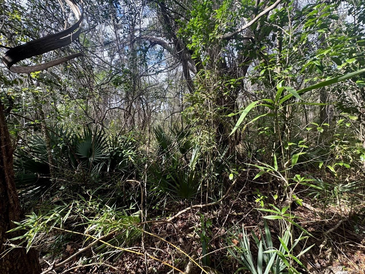 000 W Us 90, Madison, FL 32331 Photo