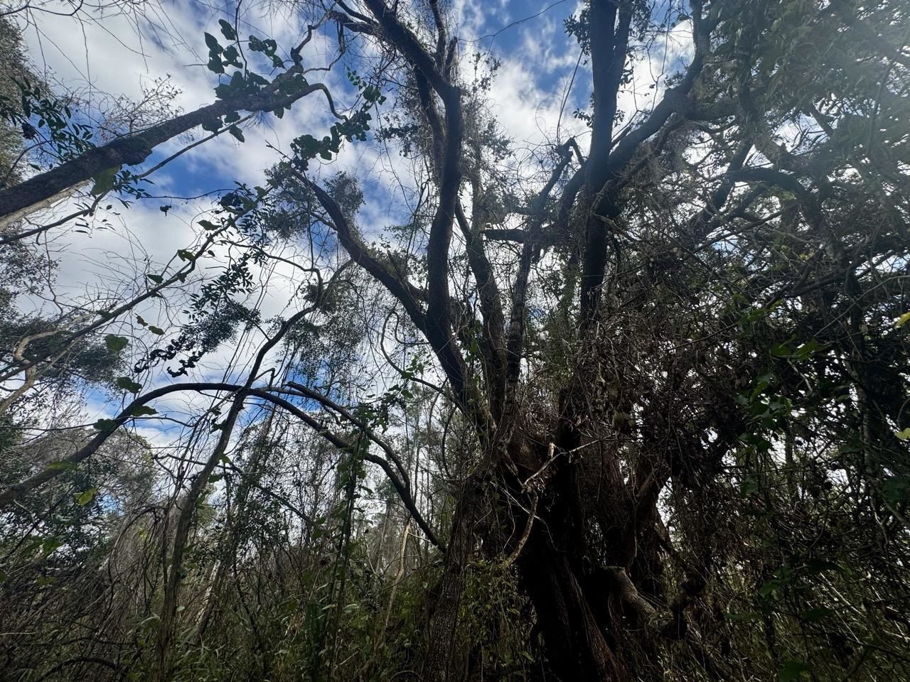 000 W Us 90, Madison, FL 32331 Photo