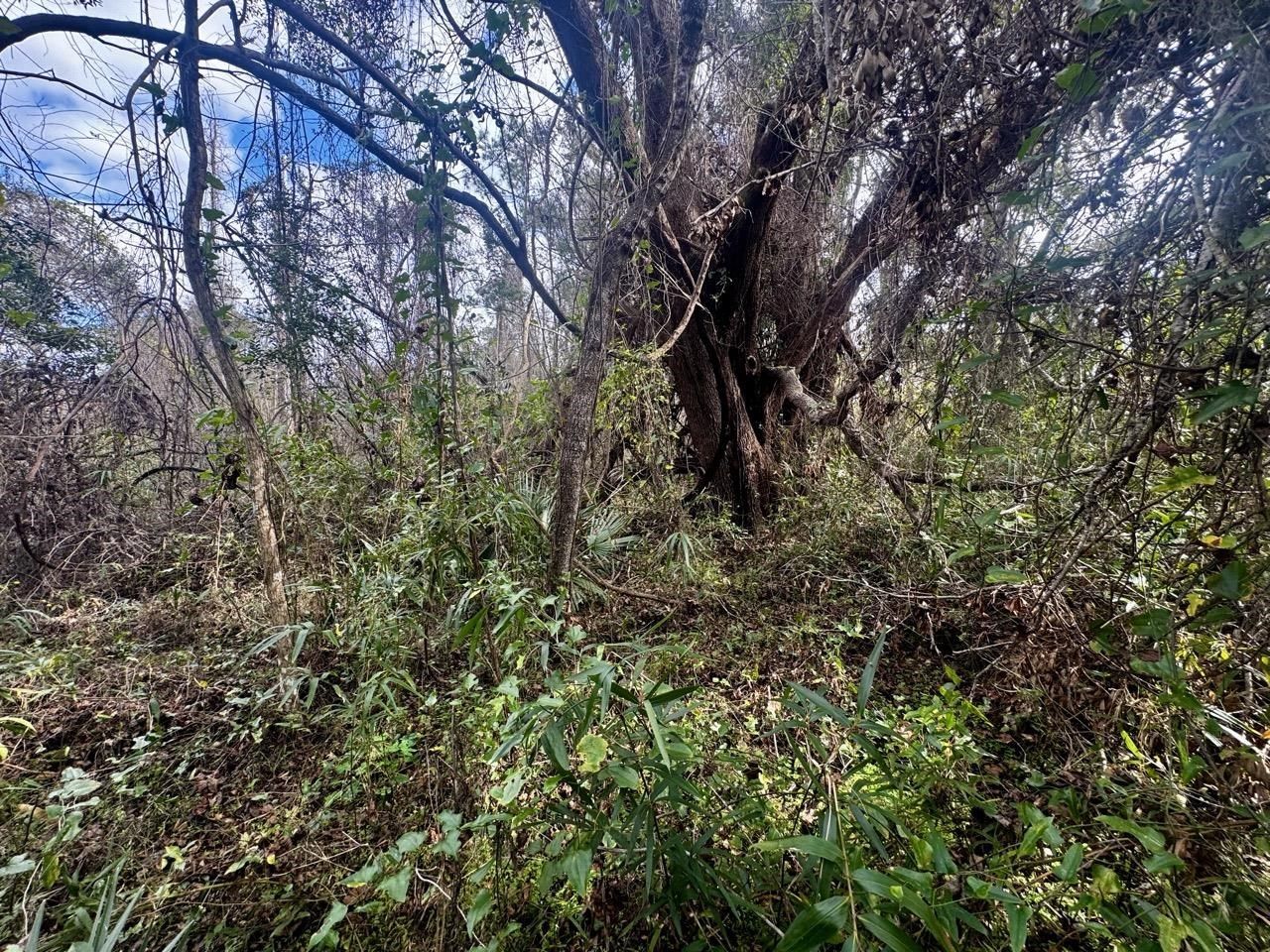 000 W Us 90, Madison, FL 32331 Photo