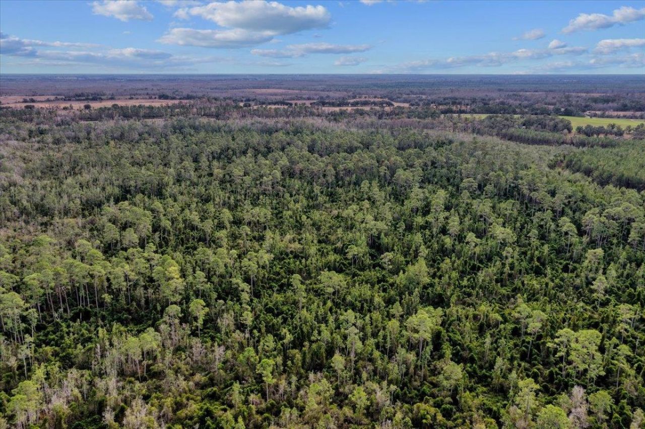 000 W Us 90, Madison, FL 32331 Photo