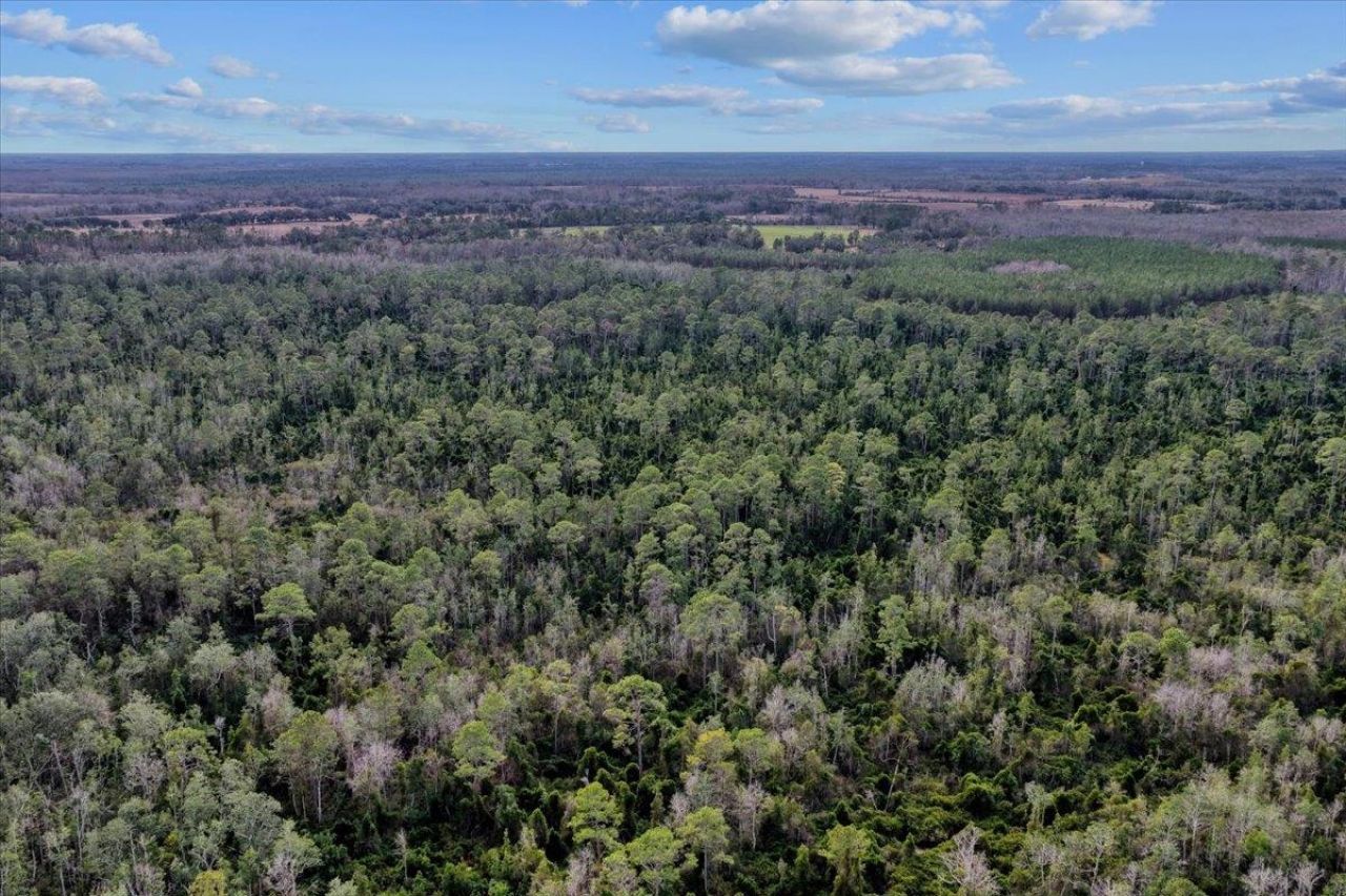 000 W Us 90, Madison, FL 32331 Photo