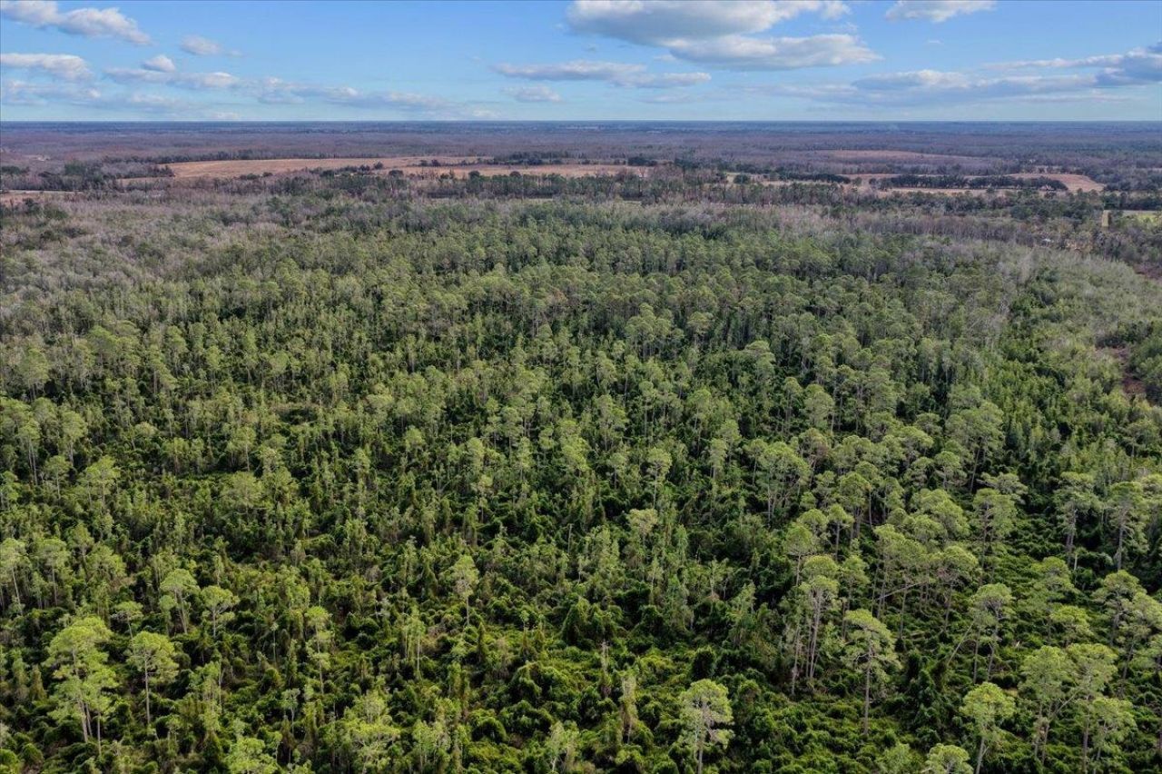 000 W Us 90, Madison, FL 32331 Photo