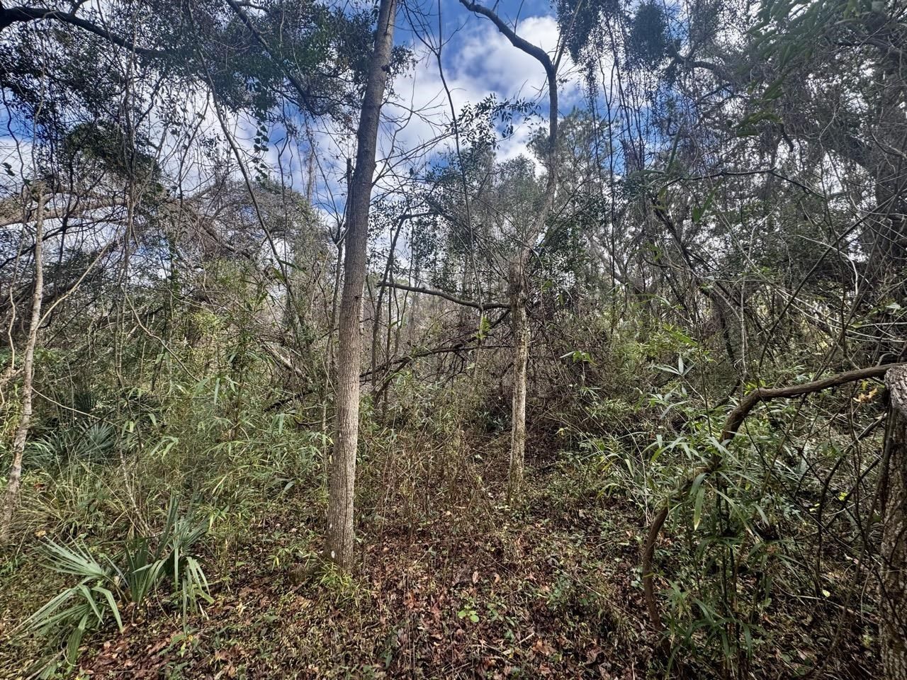 000 W Us 90, Madison, FL 32331 Photo