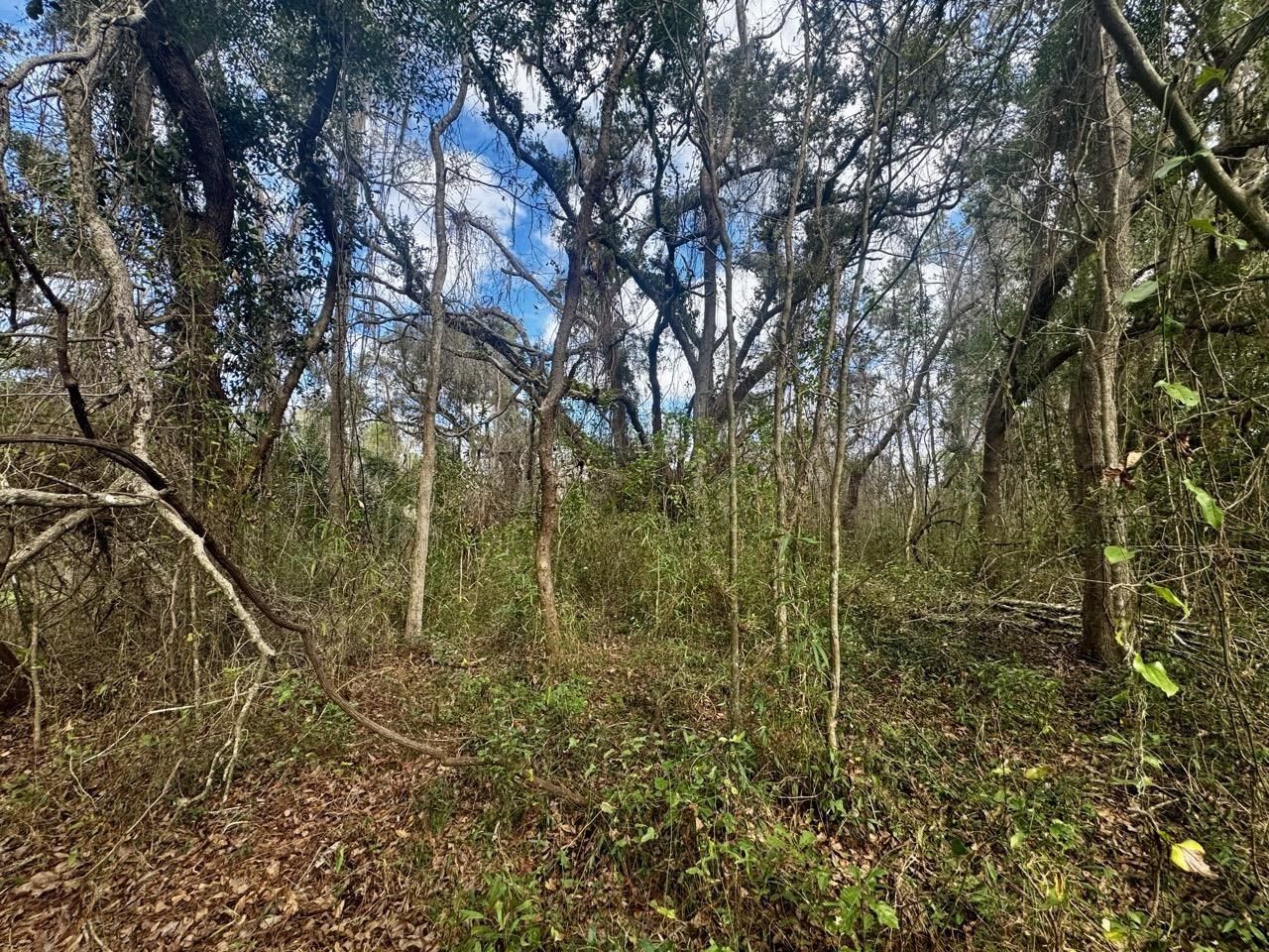 000 W Us 90, Madison, FL 32331 Photo