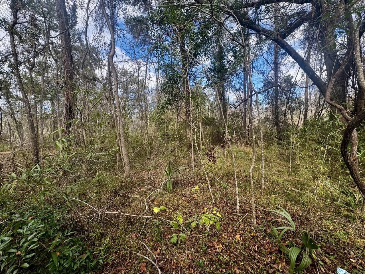 000 W Us 90, Madison, FL 32331 Photo