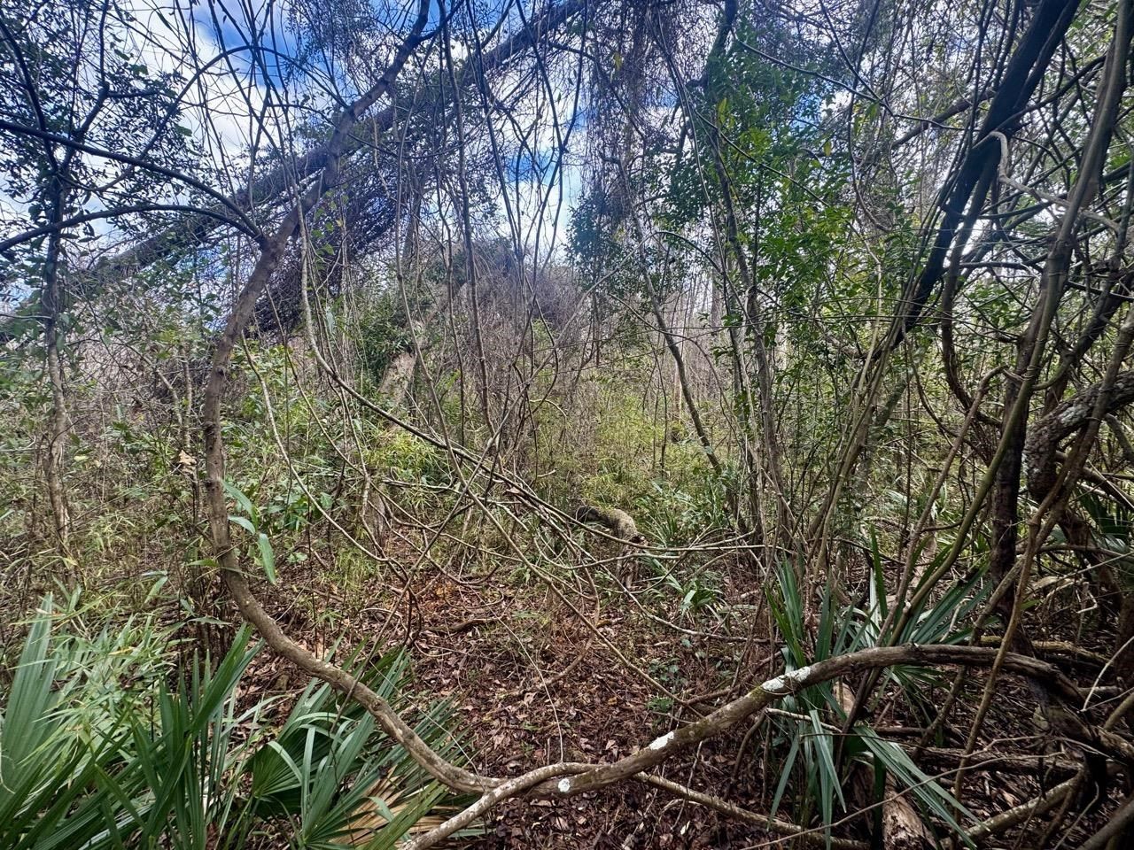 000 W Us 90, Madison, FL 32331 Photo