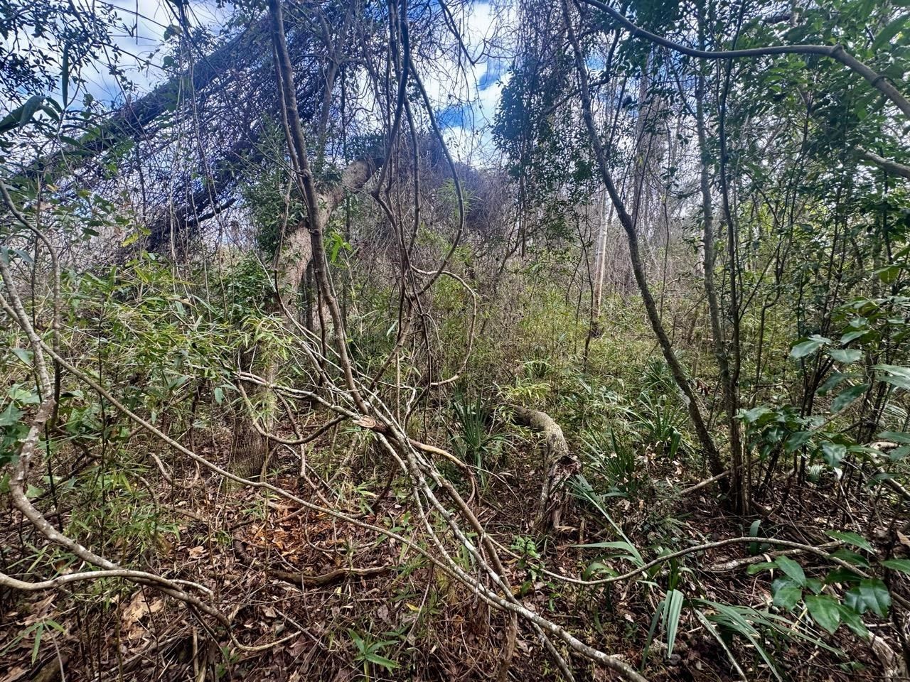 000 W Us 90, Madison, FL 32331 Photo