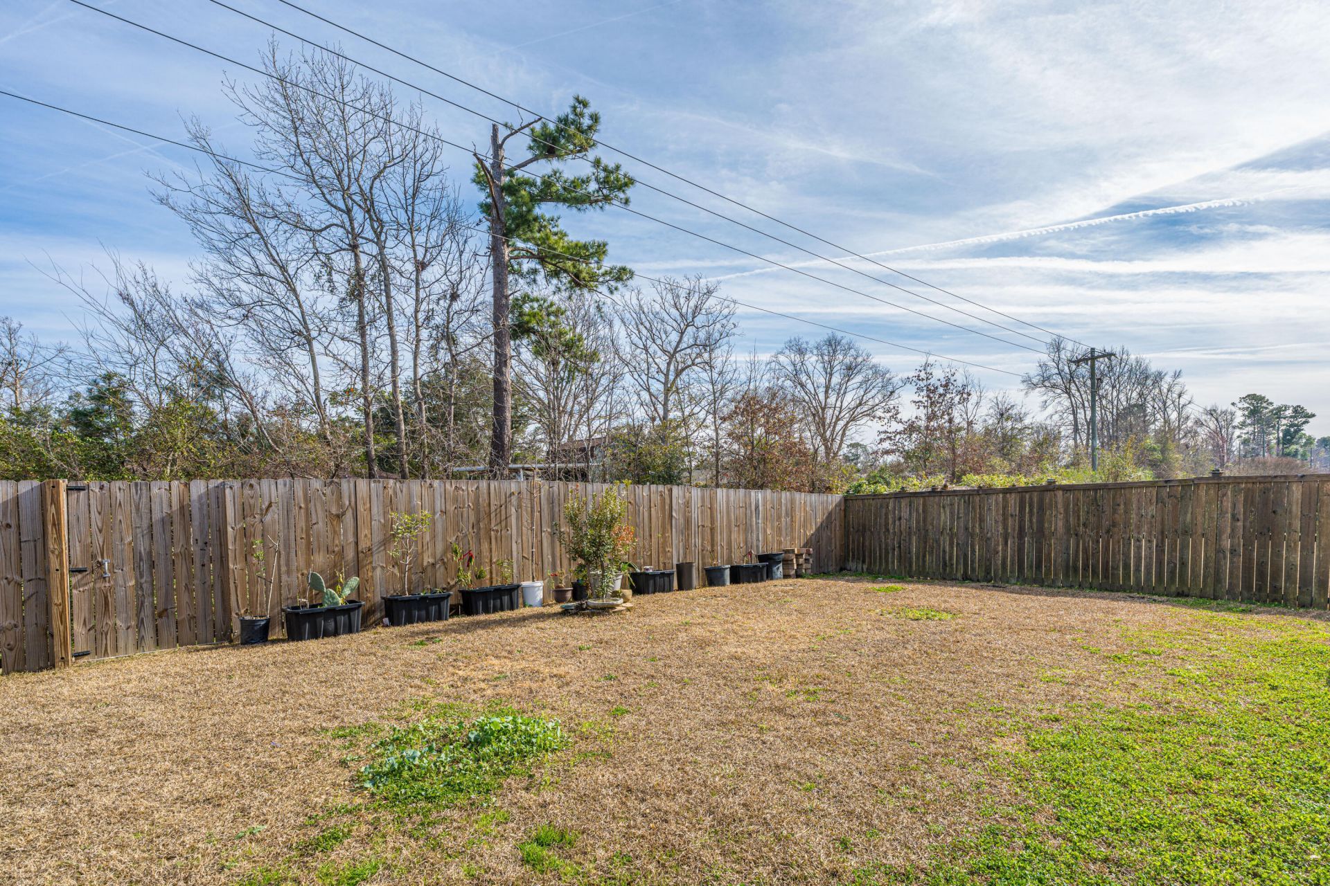 3032 Adventure Way Photo 34