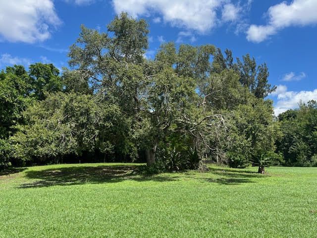 9538 171st Street N, Jupiter, FL 33478 Photo