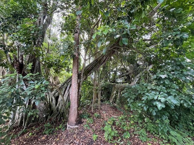 9538 171st Street N, Jupiter, FL 33478 Photo