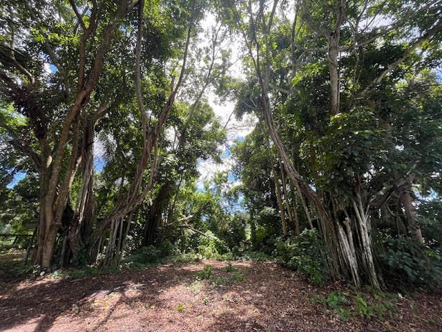 9538 171st Street N, Jupiter, FL 33478 Photo