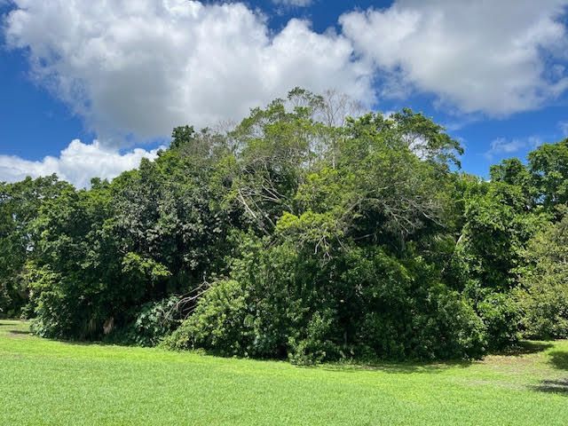 9538 171st Street N, Jupiter, FL 33478 Photo