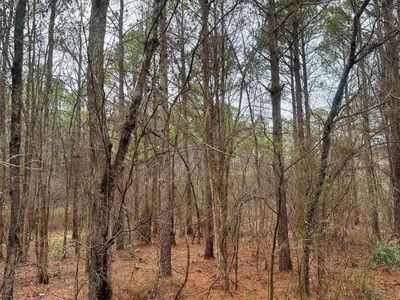 1176 Great Falls Highway, Unit 4, Chester, SC 29706