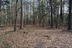 0 Lazy Hill Road photo 4