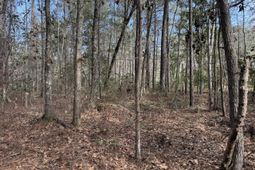 0 Lazy Hill Road photo 4