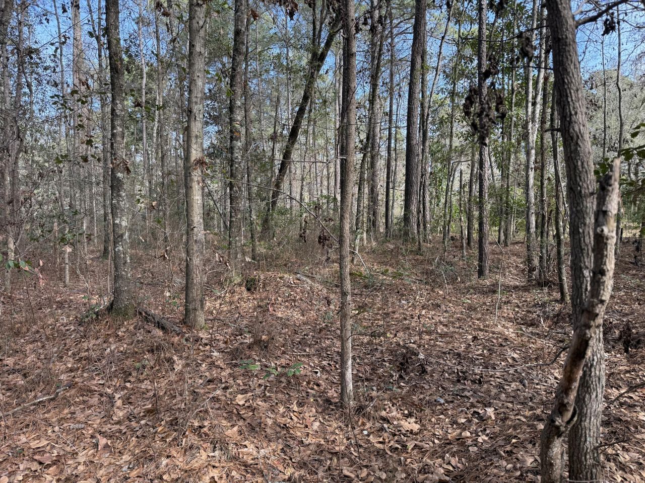 0 Lazy Hill Road Photo 4