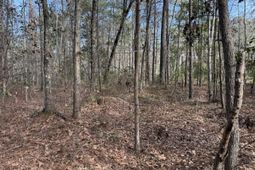 0 Lazy Hill Road photo 4