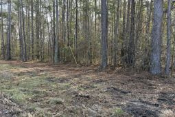 0 Lazy Hill Road photo 4