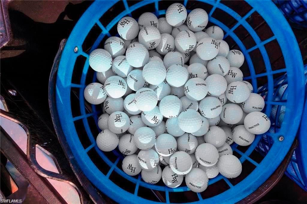 26961 Clarkston Dr, Unit 9108, Bonita Springs, FL 34135 Photo