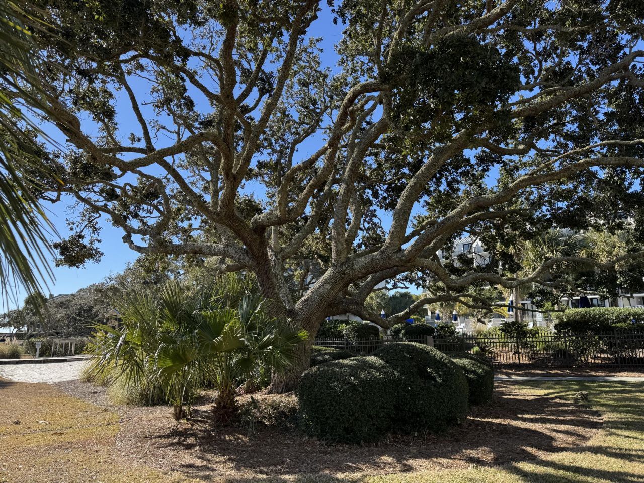 7600 Palmetto Drive Photo 53