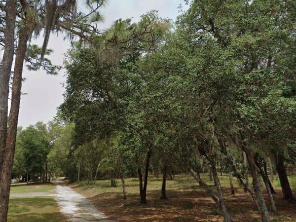 1163 E CANVAS LANE, HERNANDO, FL 34442