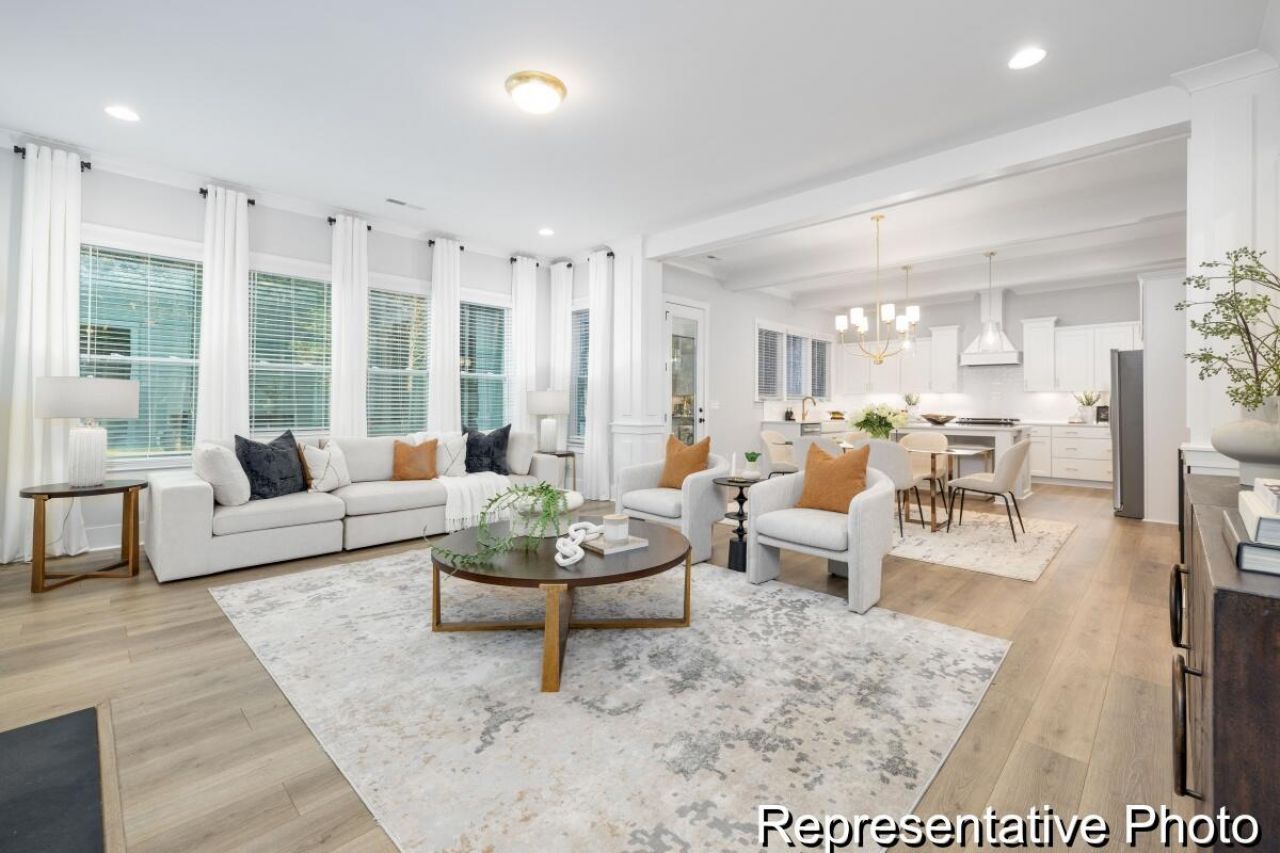 1131 Marsh Harrier Drive Photo 10