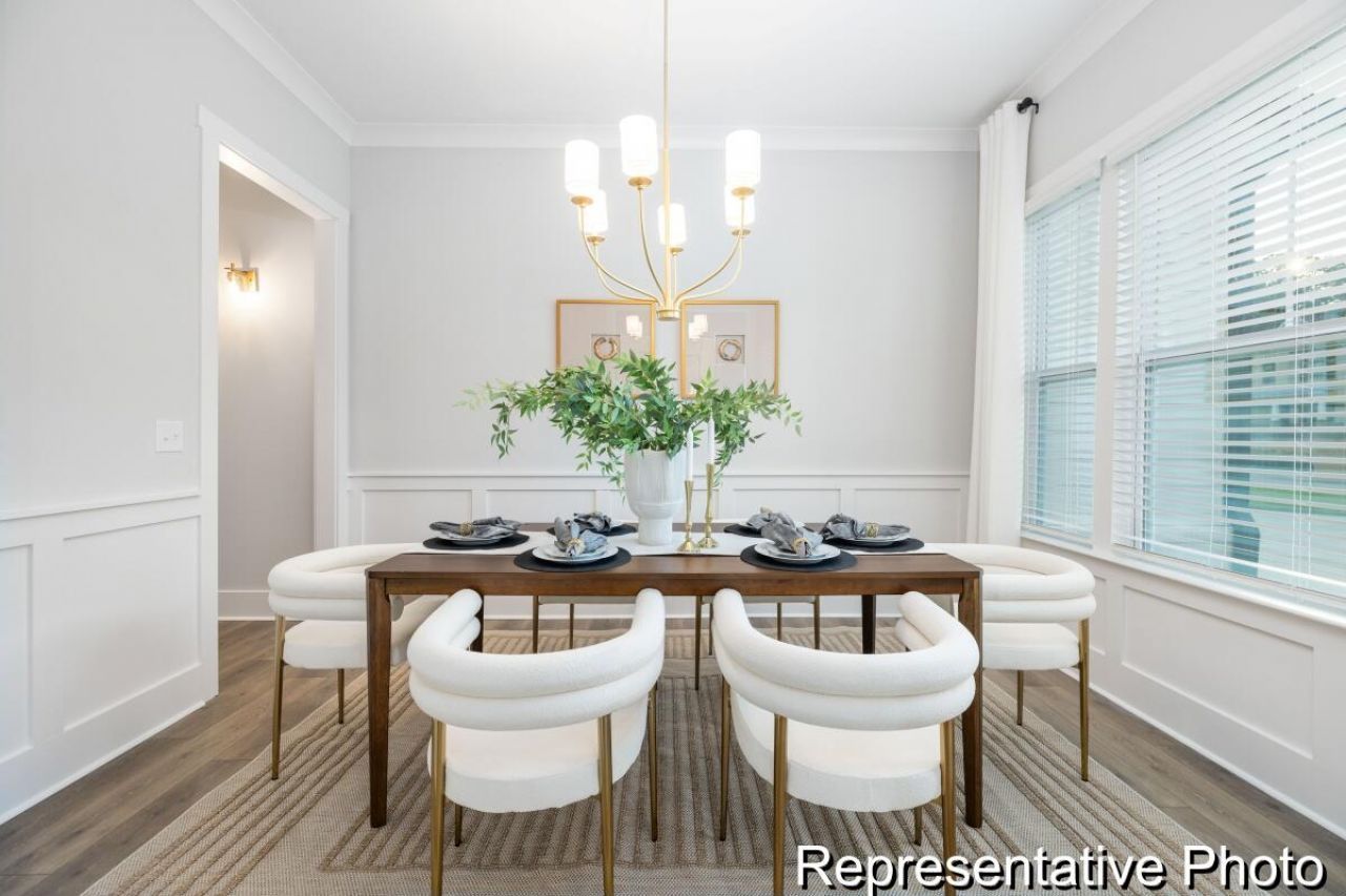 1131 Marsh Harrier Drive Photo 11