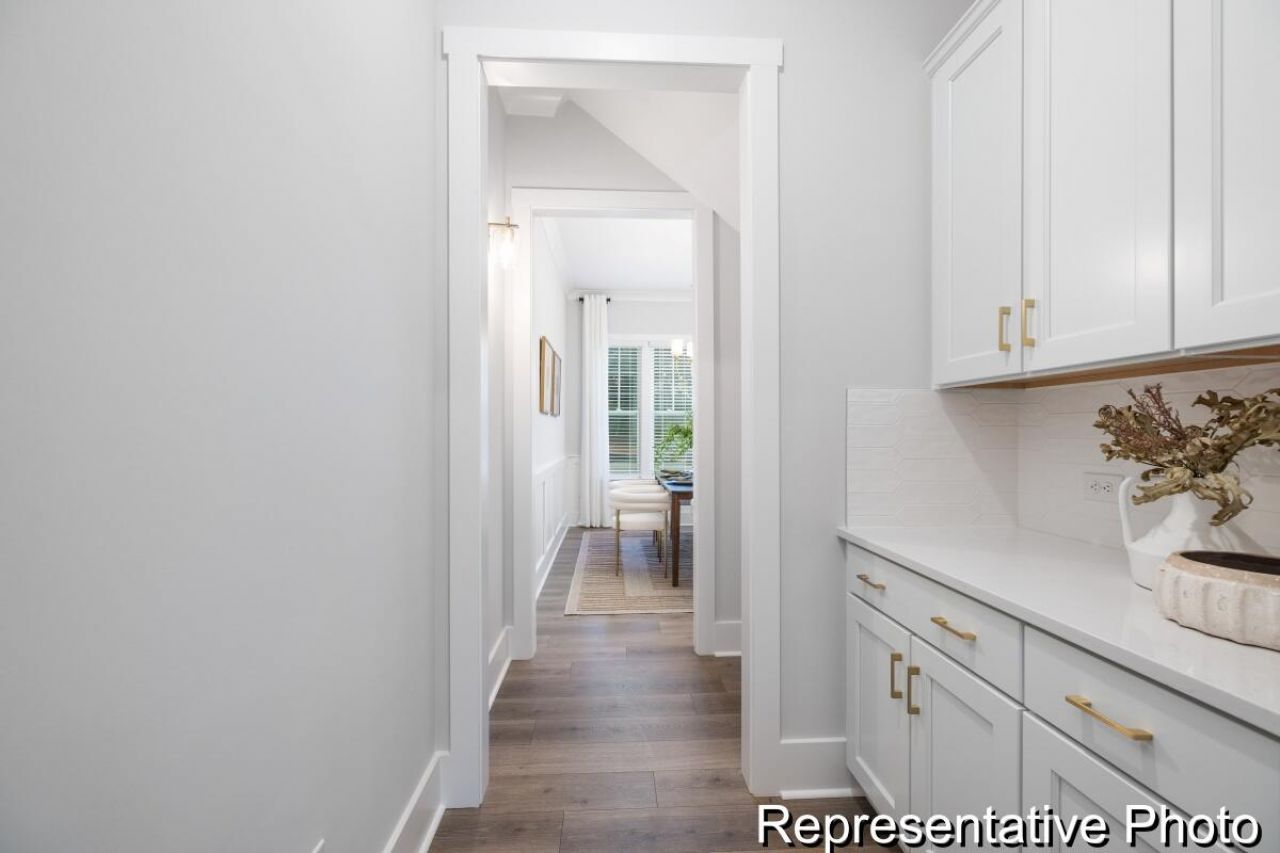 1131 Marsh Harrier Drive Photo 15