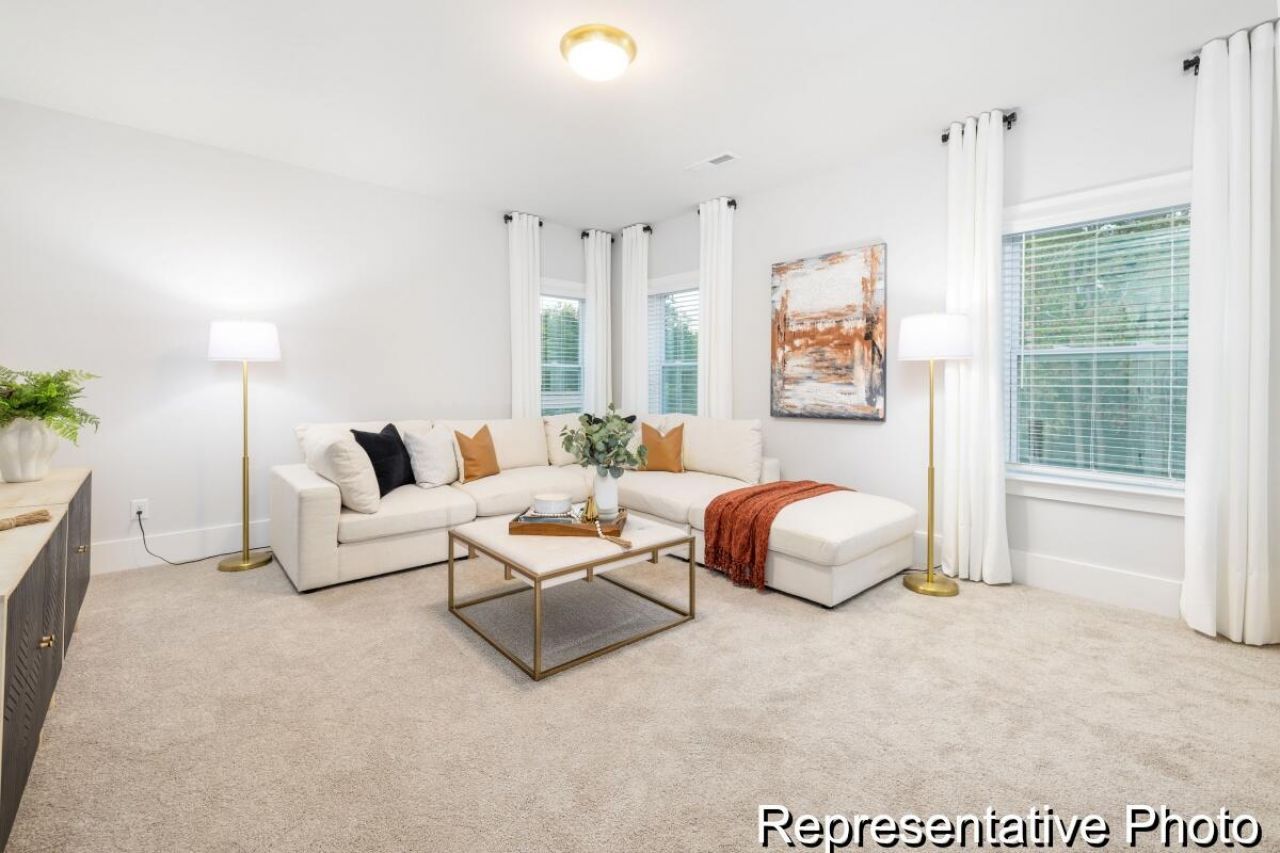 1131 Marsh Harrier Drive Photo 33