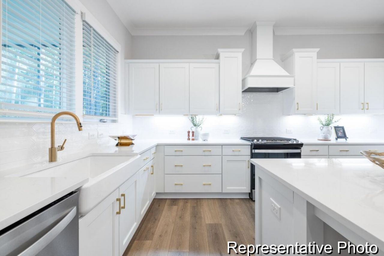 1131 Marsh Harrier Drive Photo 4