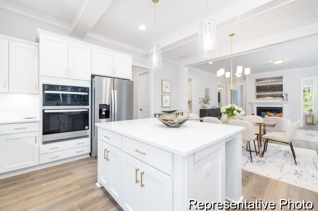 1131 Marsh Harrier Drive Photo 5